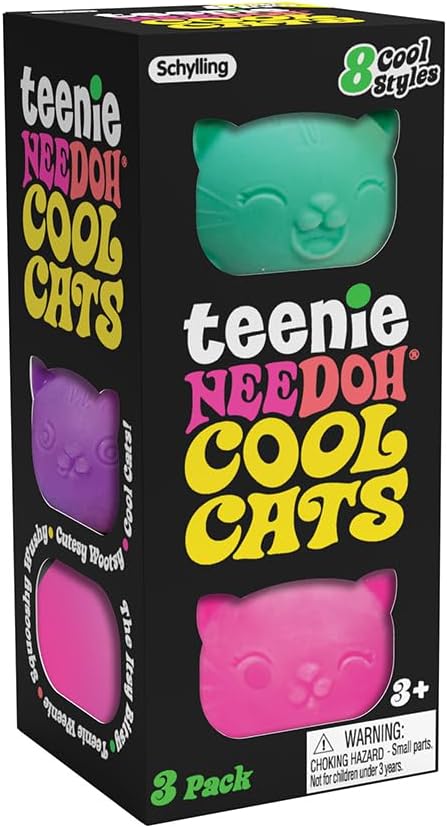 Schylling NeeDoh® Fidget Toy